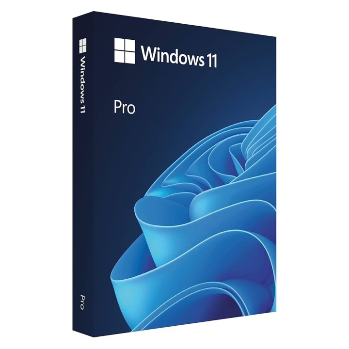 Windows 11 Professionnel